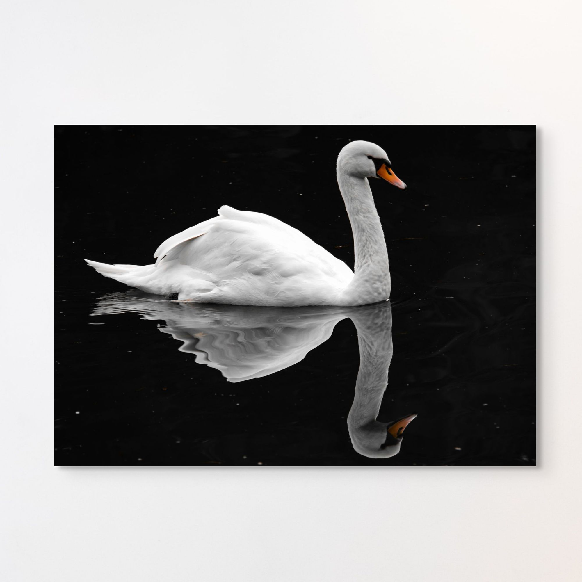 Swan Lake Art Print | Wanderlust Prints
